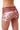WILD BROWN HOT SHORTS